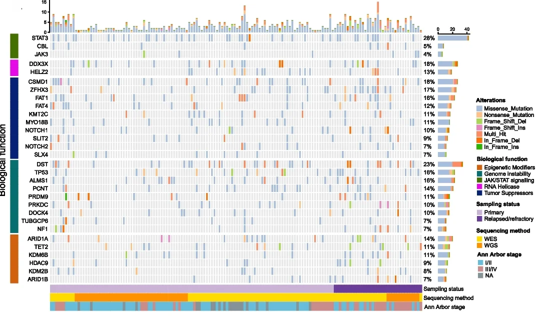 Open access visualization of Heatmap, Bar Plot, Stacked Bar Plot, Non-Synonymous Mutations, Somatic Mutations