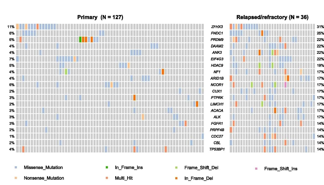 Open access visualization of Heatmap, Mutational Landscape, Somatic Mutations, Relapsed/Refractory Patients, Primary Patients