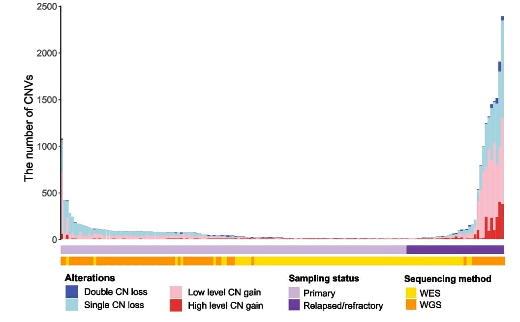 Open access visualization of Stacked Bar Plot, CNV, NKTCL Patients, CN Loss, CN Gain