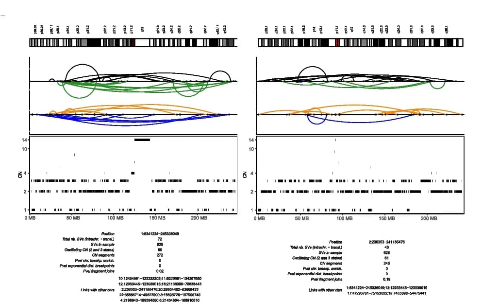 Open access visualization of Line Plot, Network, Chromothripsis, NKTCL Patient, Chromosome Ideograms