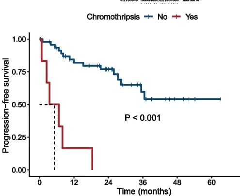 Open access visualization of Survival Curve, Line Step, Kaplan-Meier Curves, Progression-Free Survival, Chromothripsis