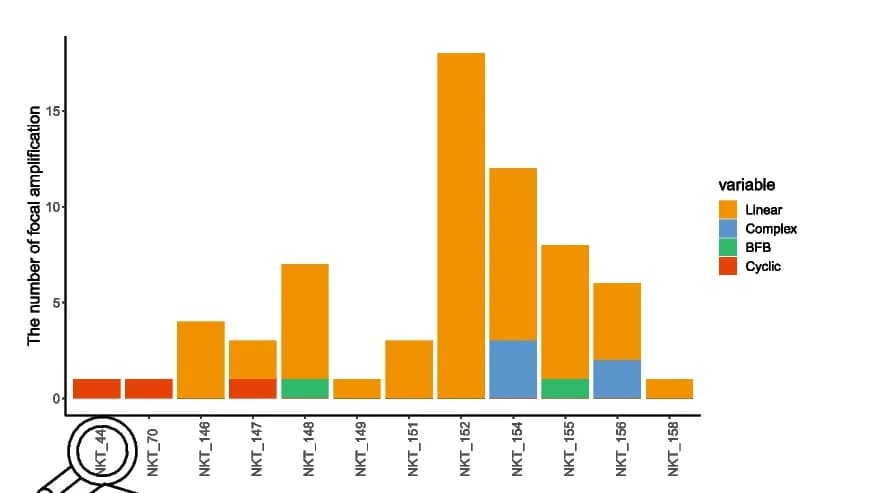 Open access visualization of Stacked Bar Plot, Bar Plot, Focal Amplifications, Focal Amplicons, Linear