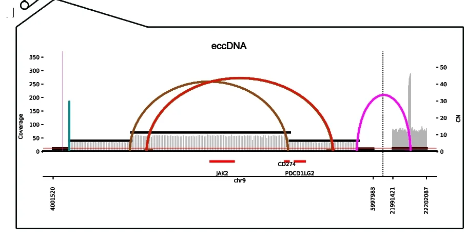 Open access visualization of Locuszoom Plot, Bar Plot, Line Plot, Genome Browser Track, AmpliconArchitect