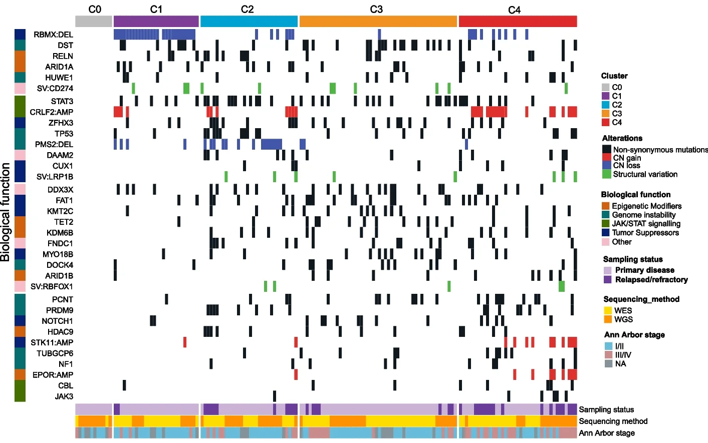 Open access visualization of Heatmap, Nonnegative Matrix Factorization, SNVs, INDELs, CNVs