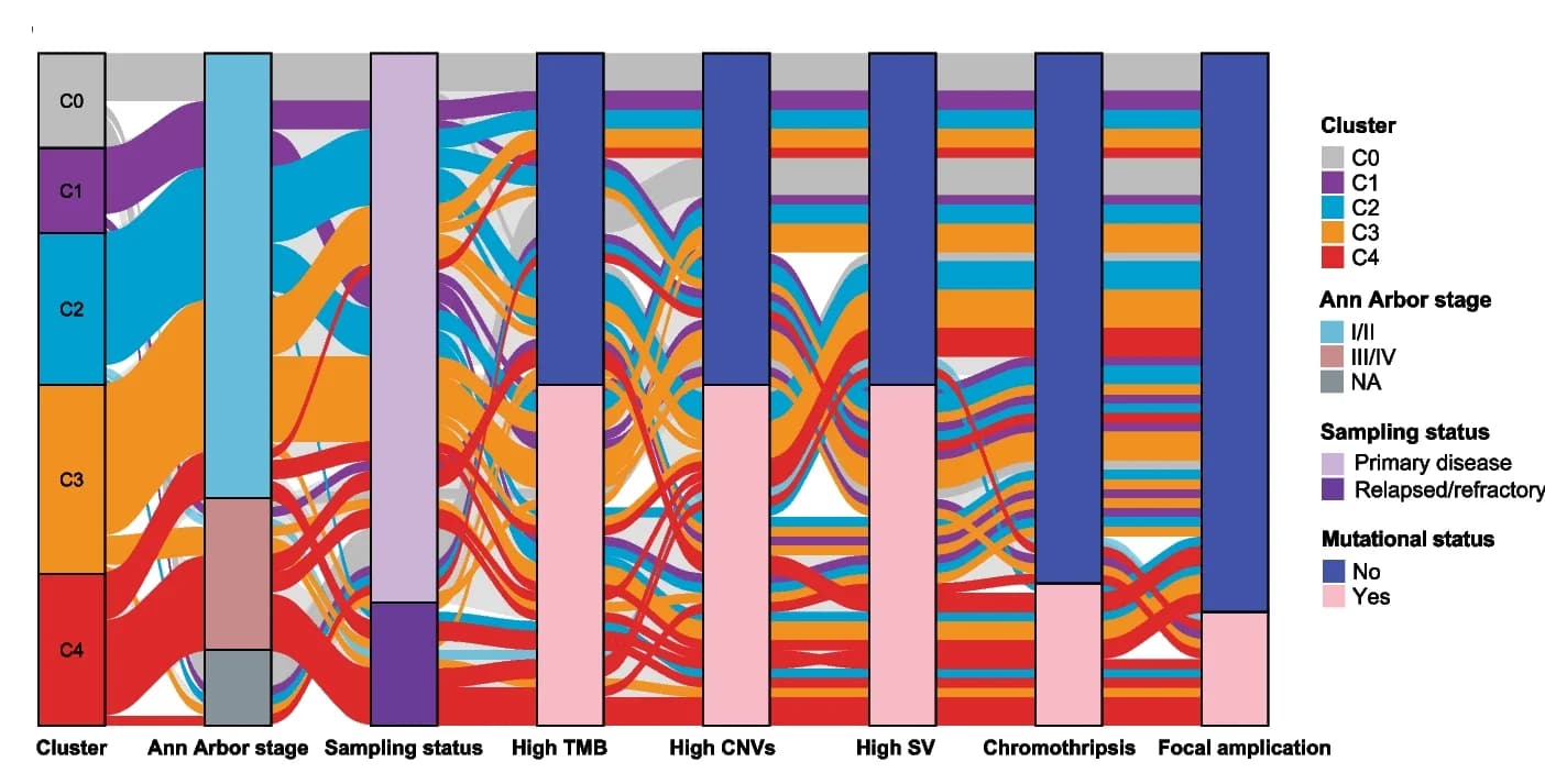 Open access visualization of Sankey, Sankey Diagram, Clinical Characteristics, Mutational Characteristics, NKTCL Patients