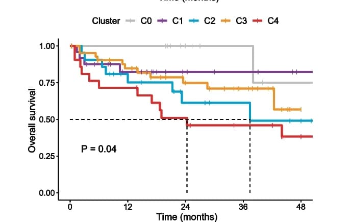 Open access visualization of Survival Curve, Line Step, OS, Primary NKTCL Patients, Molecular Subtyping Clusters