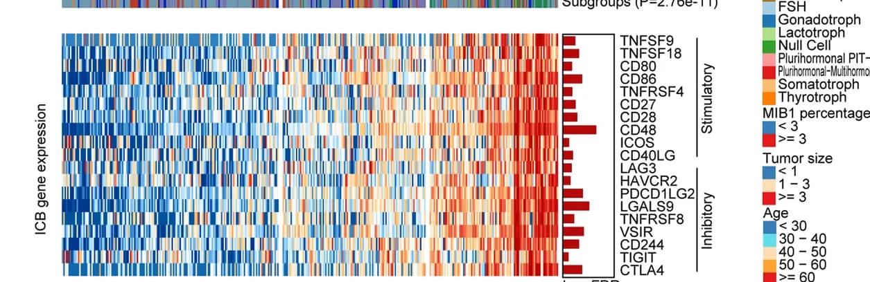 Open access visualization of Heatmap, Bar Plot, Immune Checkpoint Genes, PitNET, TIME Subtypes