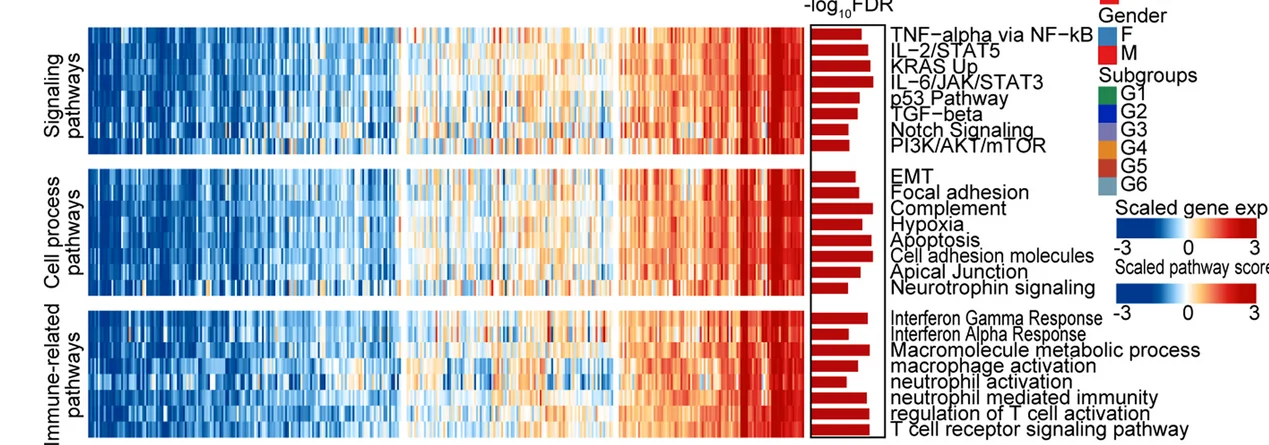 Open access visualization of Heatmap, Bar Plot, Pathways, DEGs, ANOVA