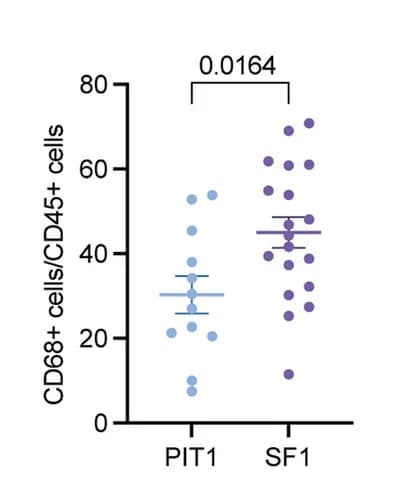 Open access visualization of Scatter Plot, Error Bars, Bar Plot, CD68, CD45