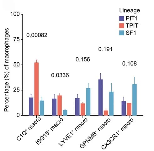 Open access visualization of Bar Plot, Error Bars, Clustered, Macrophage Subtypes, Lineages