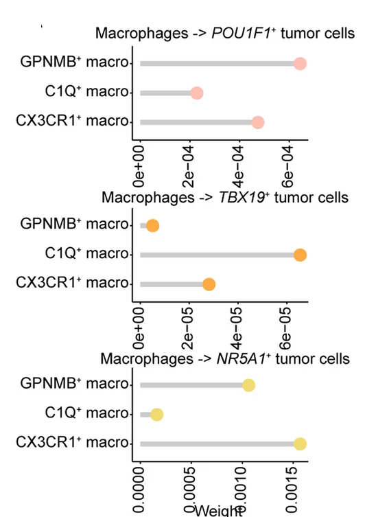 Open access visualization of Scatter Plot, Error Bars, TAM Subpopulations, Tumor Cells
