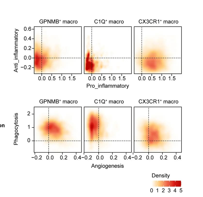 Open access visualization of Scatter Plot, Density Plot, Anti-inflammatory, Pro-inflammatory, Angiogenesis
