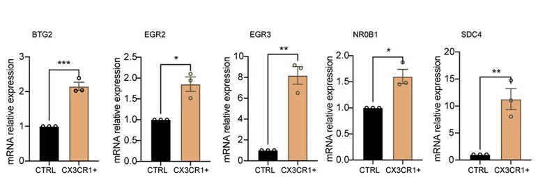 Open access visualization of Bar Plot, Error Bars, Histogram Plot, Gene Expression, Tumor Cells
