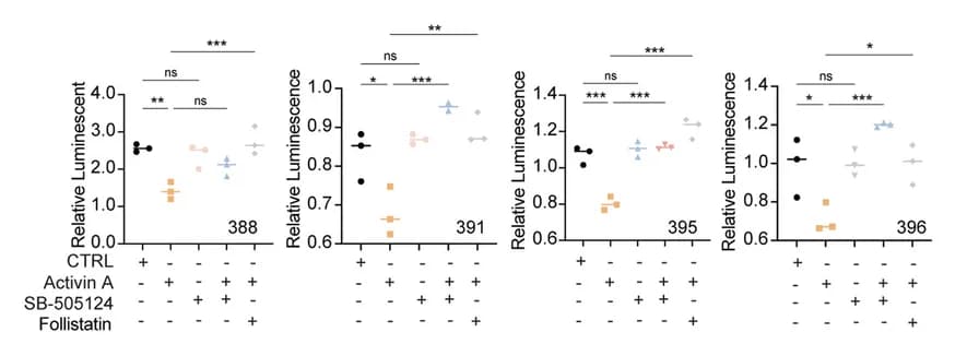 Open access visualization of Scatter Plot, Cell Viability, NR5A1+ Primary Cell, Activin A, SB-505124