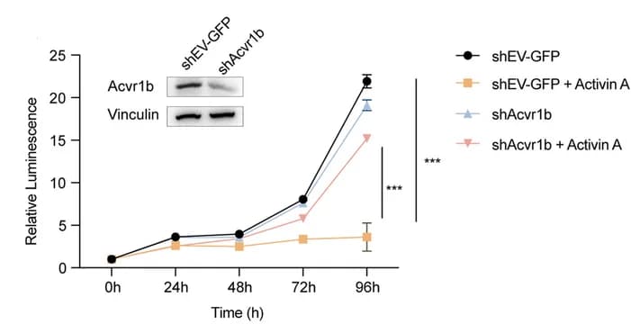 Open access visualization of Line Plot, Error Bars, Gel, Cell Viability, AtT20 Cell Line