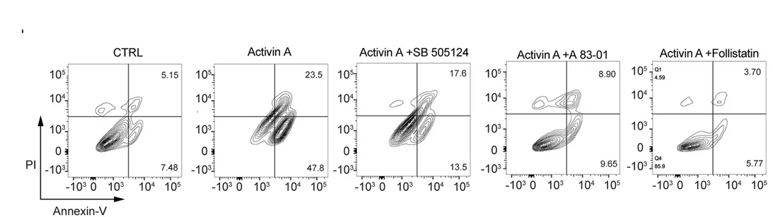 Open access visualization of Scatter Plot, Apoptosis, AtT20 Cell Line, Activin A, SB-505124
