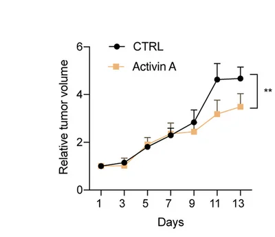 Open access visualization of Line Plot, Error Bars, Tumor Growth Curve, Xenografts, Mice
