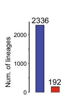 Open access visualization of Bar Plot, Unique Lineages, MDAMB468-P Cell Lines, MDAMB468-ATPC Cell Lines