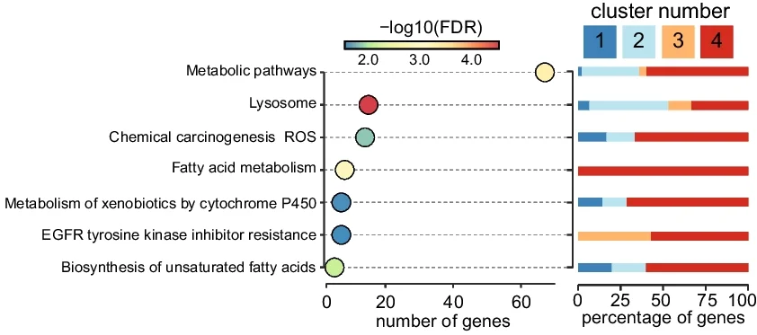 Open access visualization of Scatter Plot, Stacked Bar Plot, Gene Ontology, Enrichment Analysis, 549 Genes