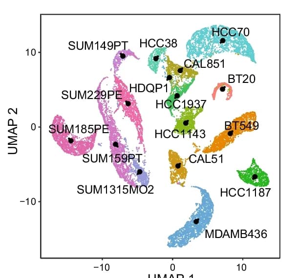Open access visualization of UMAP, Triple Negative Breast Cancer, Cell Lines