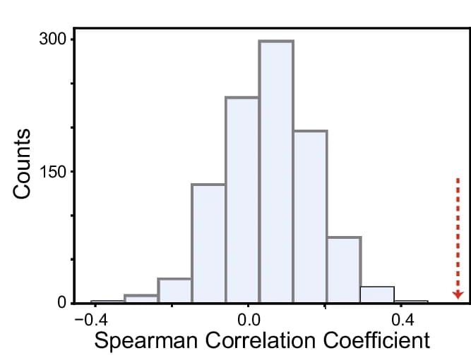 Open access visualization of Histogram, Spearman Correlation Coefficient, scASTRAL, Afatinib Sensitivity, IC50