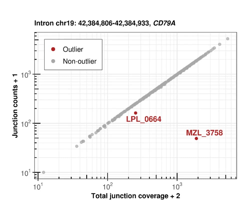 Open access visualization of Scatter Plot, Junction Counts, Split Reads, Junction Coverage, Exon-Intron