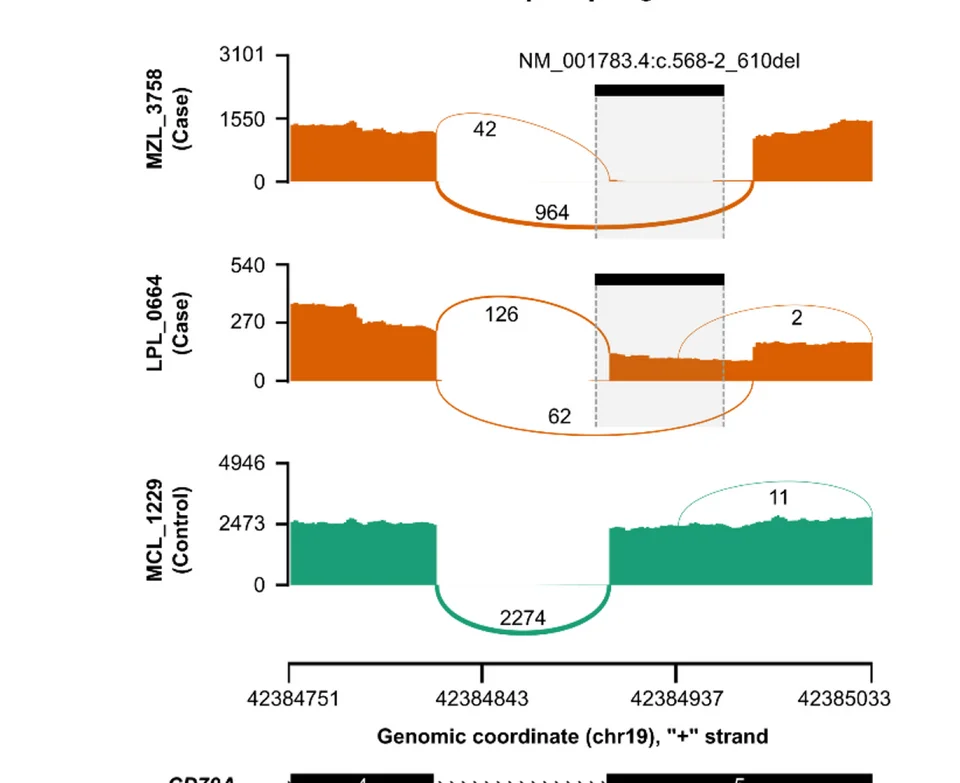 Open access visualization of Line Plot, Sashimi Plots, RNA-seq, Read Coverage, Split Reads