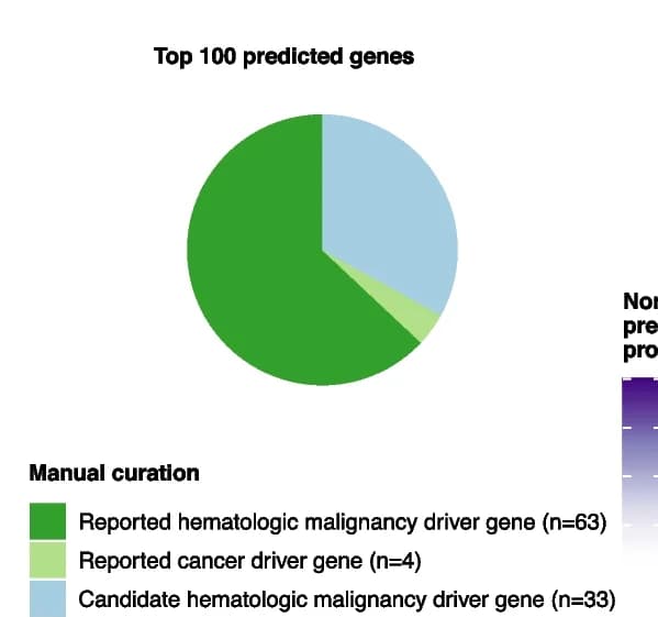 Open access visualization of Pie Chart, Gene Categories, Predicted Genes, Hematologic Malignancy Driver Genes, Cancer Driver Genes