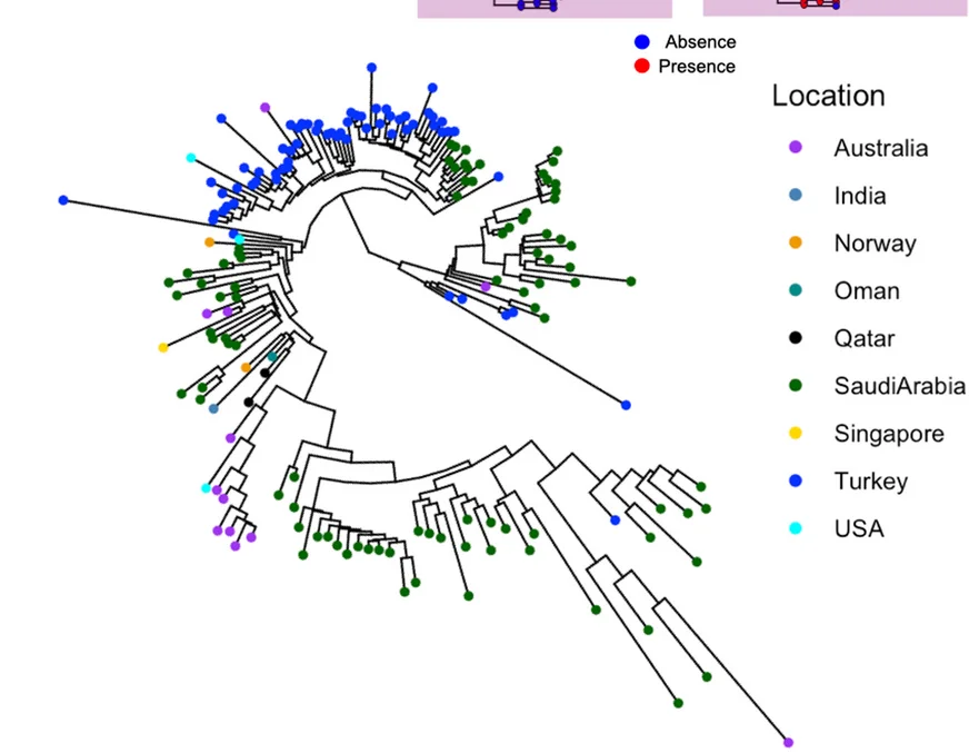 Open access visualization of Network, Pathway, ST2096 Clone, Global Population, Neighbor-Joining Tree
