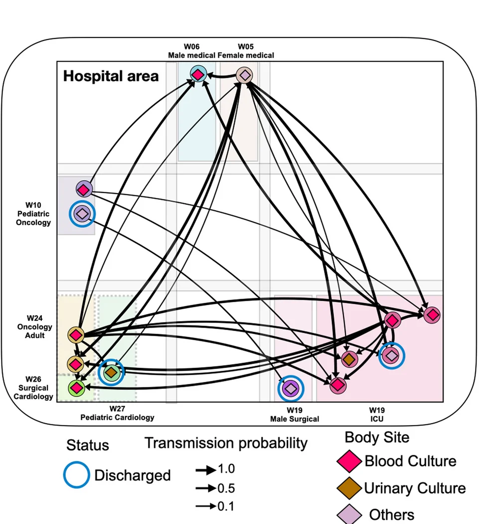 Open access visualization of Network, Pathway, Transmission Network, Patients, Transmission Routes