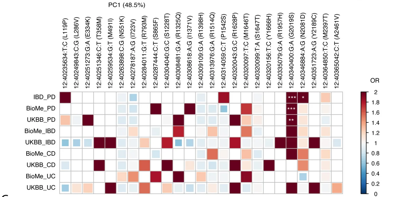 Open access visualization of Heatmap, Correlogram, LRRK2 Missense Variants, Parkinson's Disease, Inflammatory Bowel Disease