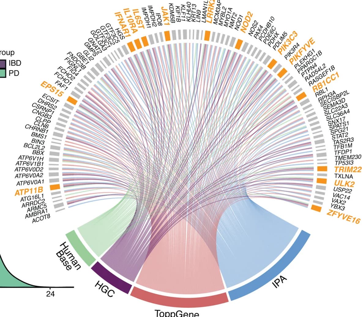 Open access visualization of Chord, Circos Plot, Candidate Genes, Pathway Analysis, Biological Relatedness
