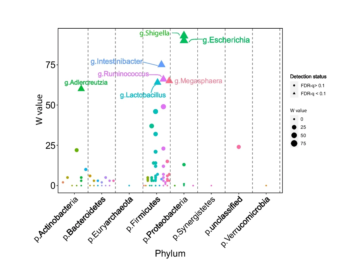 Open access visualization of Scatter Plot, Bubble Plot, ANCOM-II, Gut Bacteria, Diabetes