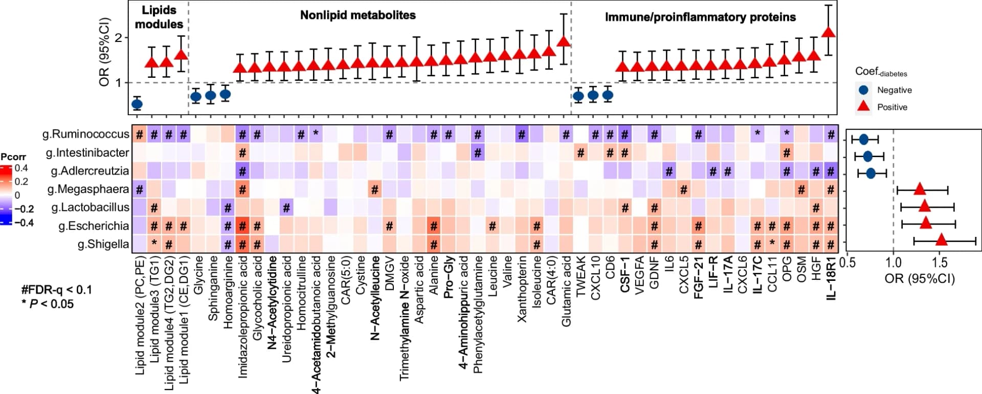 Open access visualization of Heatmap, Error Bars, Forest Plot, Diabetes, Metabolites