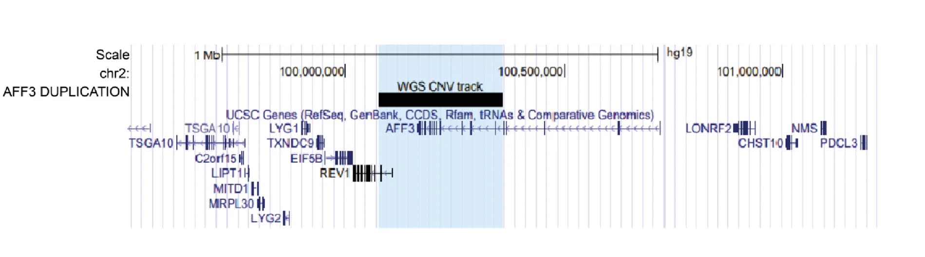 Open access visualization of Locuszoom Plot, Genome Browser, Chr2, Genes, Duplication
