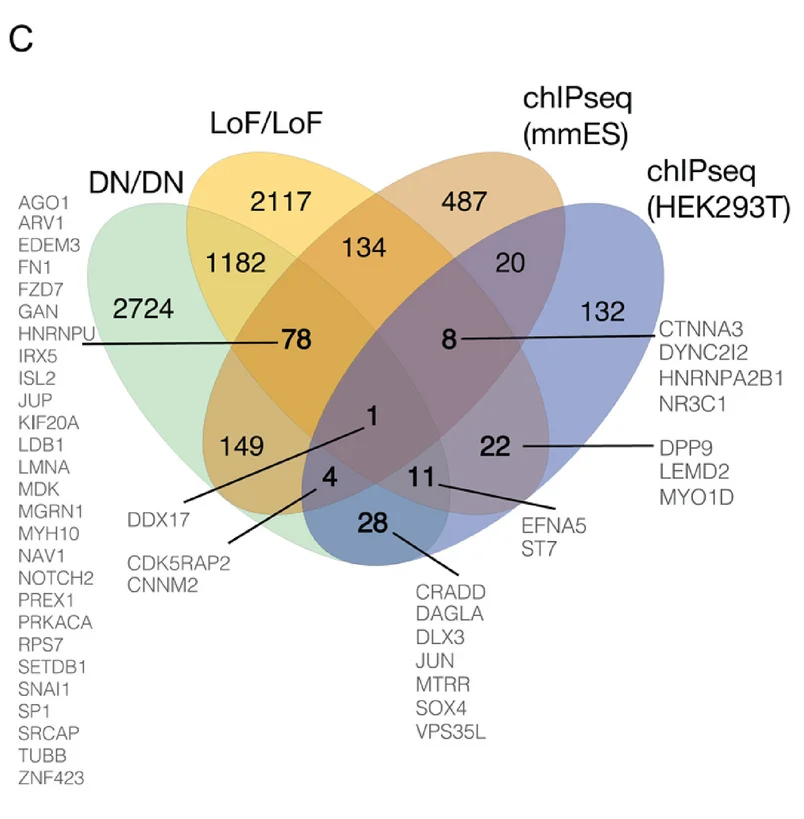 Open access visualization of Venn Diagram, Gene Set Enrichment Analysis, Hallmark Pathways, Differentially Expressed Genes, Loss-of-Function