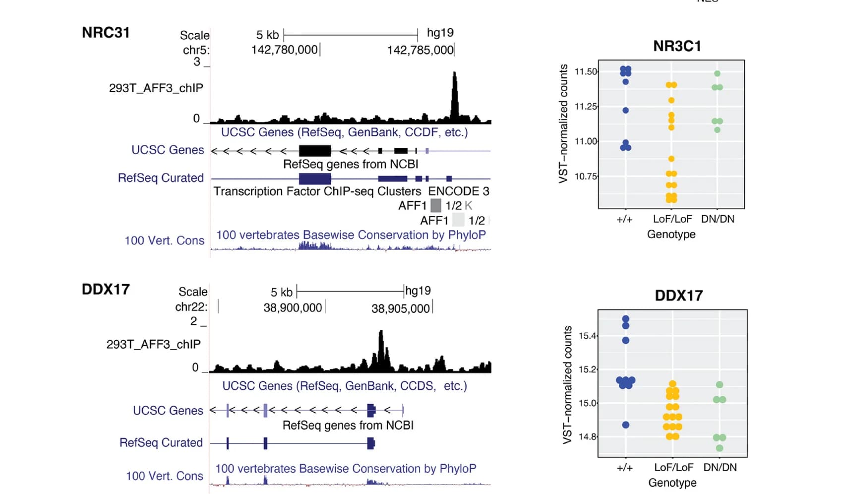Open access visualization of Scatter Plot, Line Plot, Differentially Expressed Genes, NRC31, DDX17