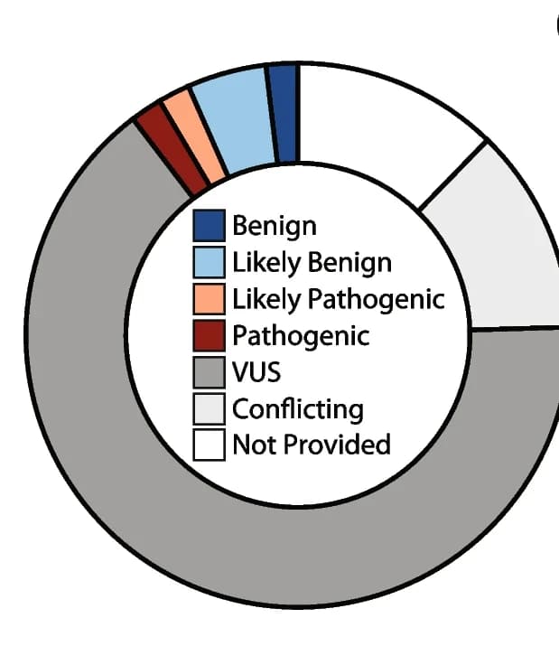 Open access visualization of Donut Chart, Missense Variant, KCNE1, ClinVar Database, VUS