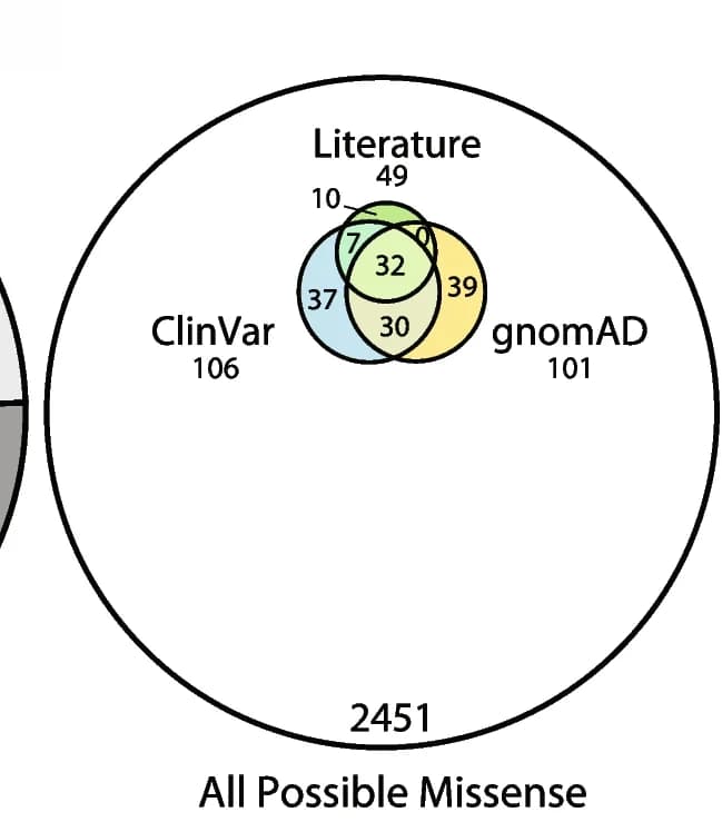 Open access visualization of Venn Diagram, Variants, ClinVar, gnomAD, KCNE1