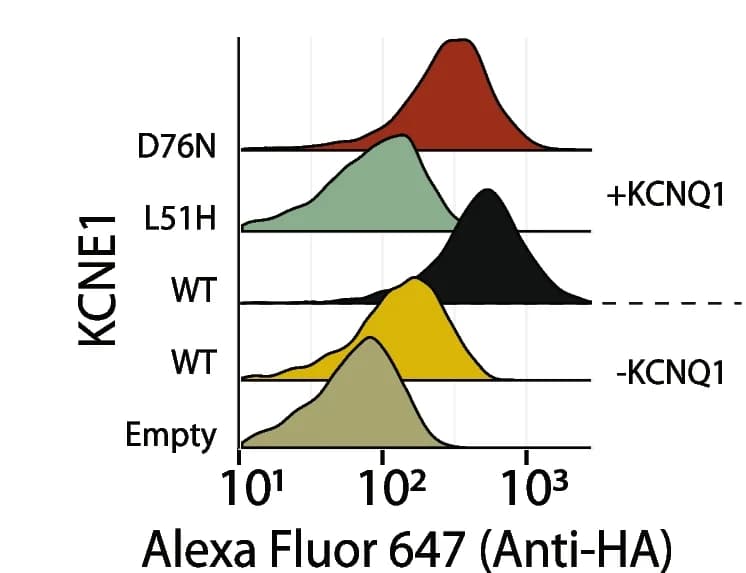 Open access visualization of Density Plot, Line Plot, Flow Cytometry, KCNE1-HA, KCNQ1