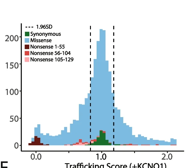 Open access visualization of Histogram, Stacked Bar Plot, Trafficking Scores, Functional Class, Missense Variant Scores