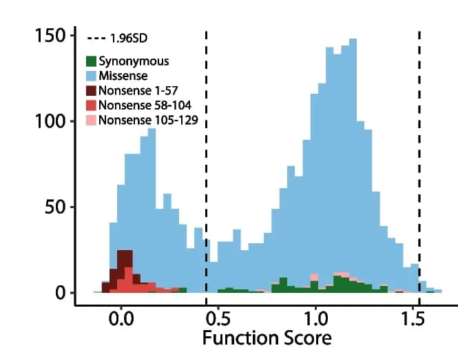 Open access visualization of Histogram, Functional Scores, Functional Class, Missense Variants, Synonymous Distribution