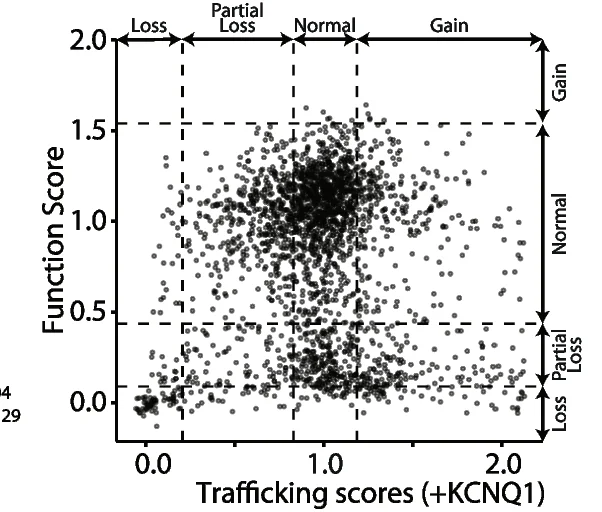 Open access visualization of Scatter Plot, Trafficking Scores, KCNQ1, Functional Scores, Missense Variants