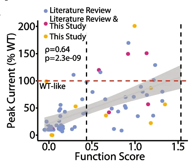 Open access visualization of Scatter Plot, Regression Plot, Function Scores, Patch Clamp, Peak Current