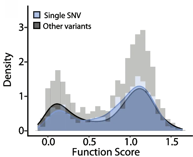 Open access visualization of Density Plot, Histogram, SNVs, Functional Scores, Variants