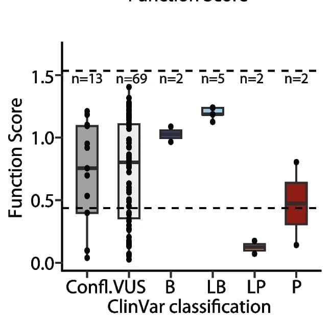 Open access visualization of Box Plot, Scatter Plot, Functional Scores, ClinVar, Classification