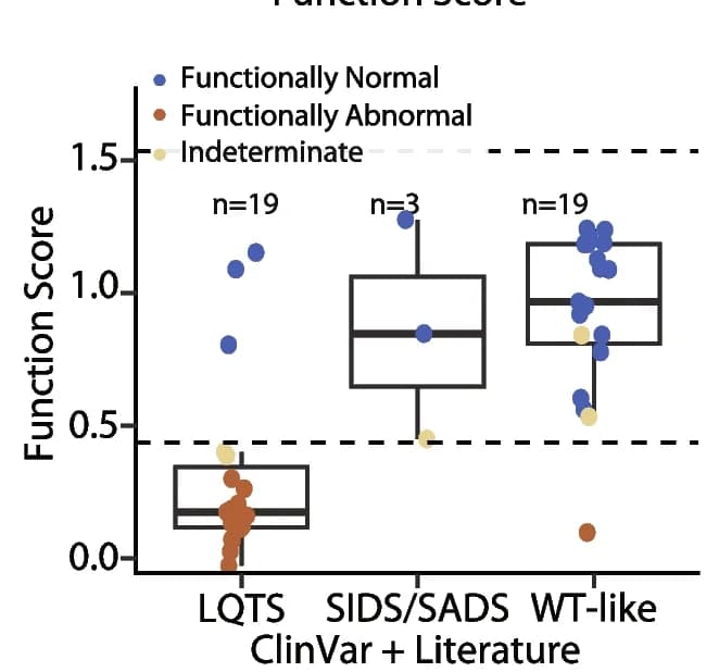 Open access visualization of Box Plot, Scatter Plot, Raincloud Plot, Functional Scores, Benign Variants