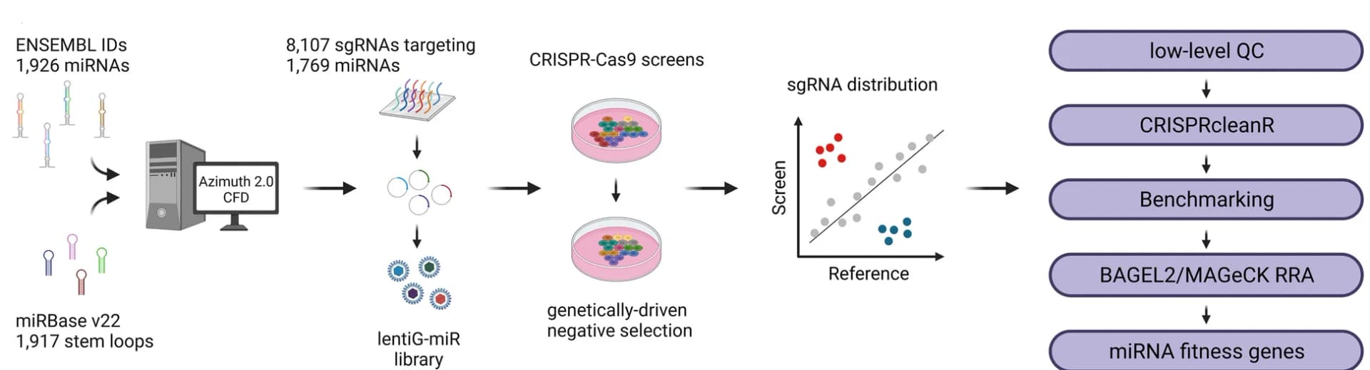 Open access visualization of Workflow, Scatter Plot, CRISPR-Cas9, Knockout Library, miRNA