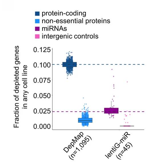 Open access visualization of Box Plot, Scatter Plot, Raincloud Plot, Tukey Boxplot, Protein-Coding Genes