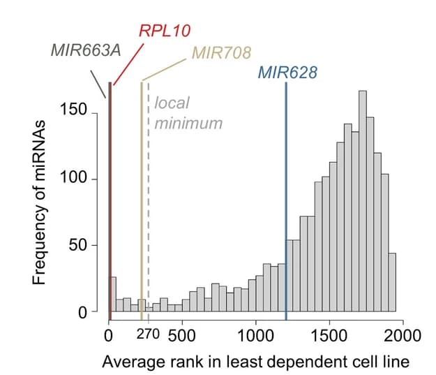 Open access visualization of Histogram, Line Plot, Gene Rank, Cell Lines, Essential miRNAs